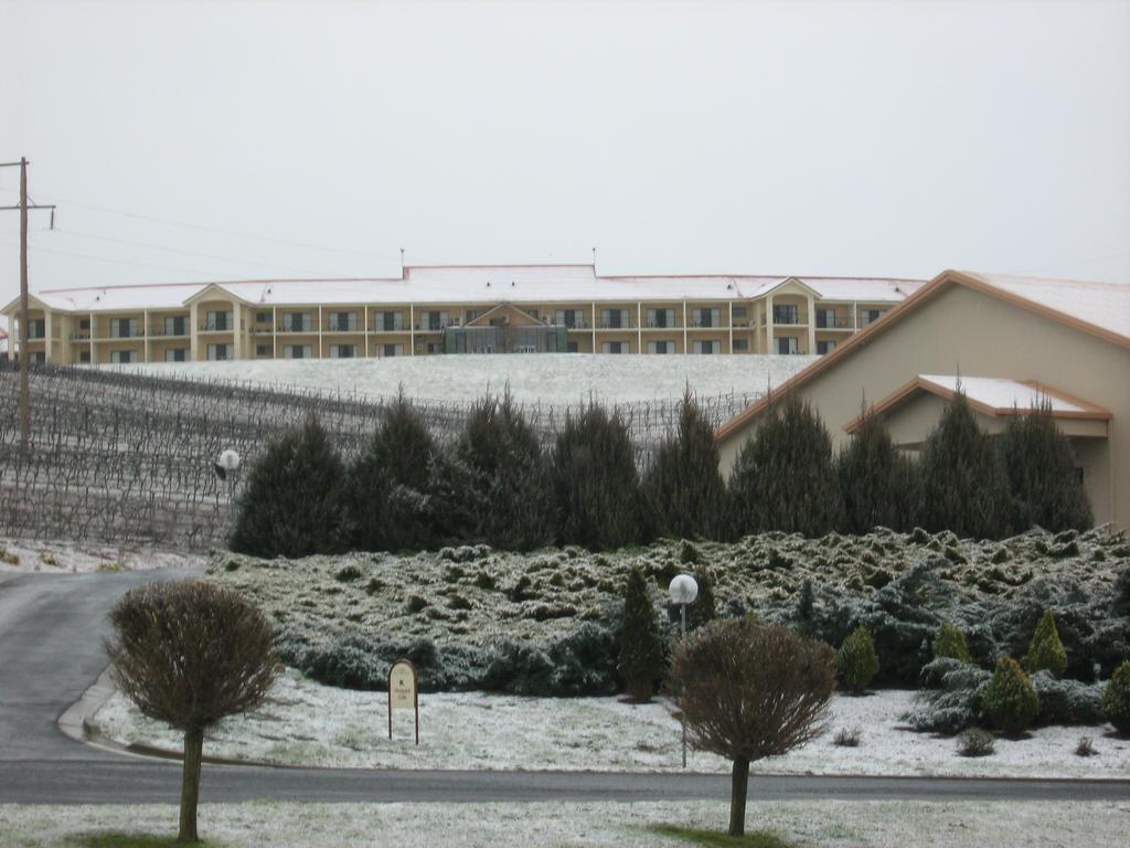 Turners Vineyard Motel Ориндж Экстерьер фото