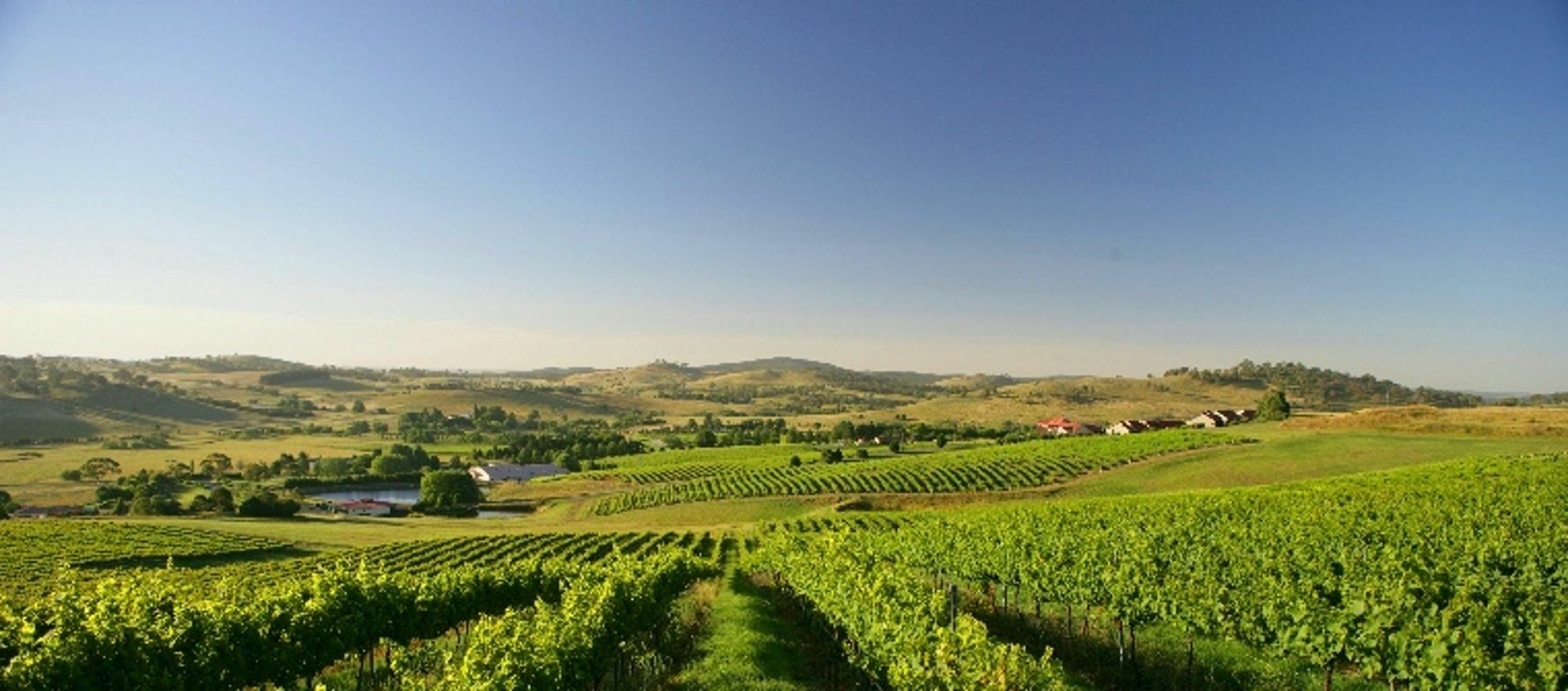 Turners Vineyard Motel Ориндж Экстерьер фото